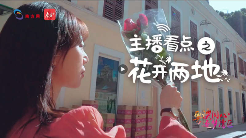 主播看點之花開兩地