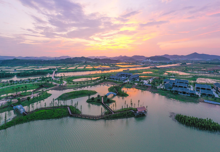 高水平的城市規劃建設水平。對標最高最優最好城市規劃，推進城市綜合管廊、道路橋梁等基礎設施建設，城市功能不斷完善，城市景觀不斷美化，促進城市集約高效和轉型發展，打造經濟發展新動力。圖為翠亨國家濕地公園。