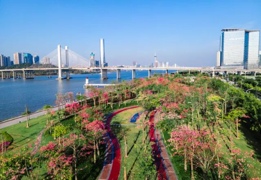 近年來，橫琴致力推動與澳門的一體化發展，建設包括“澳門新街坊”在內的一大批宜居宜業項目，大力推進宜居宜業宜游優質生活圈的建設。圖為橫琴花海長廊。