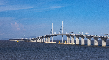 馬耳他中國友好協會主席雷諾·卡萊亞：在大灣區感受到中國強勁躍動的發展脈搏