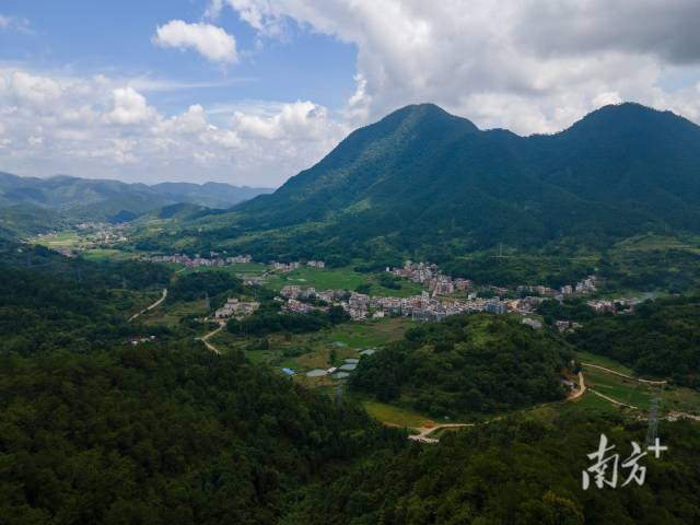 羅定市龍灣鎮(zhèn)萬(wàn)畝南藥種植示范基地。  
