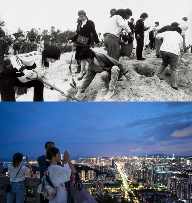 上圖：1985年，全市機(jī)關(guān)干部義務(wù)在板樟山上植樹；下圖：2020年，傍晚，市民和游客在板樟山上乘涼看風(fēng)景