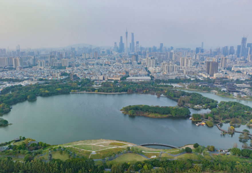 5月22日是國際生物多樣性日。濕地具有涵養水源、調節氣候、維持碳循環等極為重要的生態功能，是生物多樣性的重要發源地之一。粵港澳大灣區擁有多個濕地公園，優質的生態環境為各種生物提供了生存繁衍空間，對維護生物多樣性起到積極意義。廣州海珠國家濕地公園是全國特大城市中心區域面積最大的濕地公園，目前濕地率達79.4%，鳥類種類從72種增加到187種，昆蟲種類從66種增加值738種，魚類從36種增加到64種。圖為廣州海珠濕地公園。