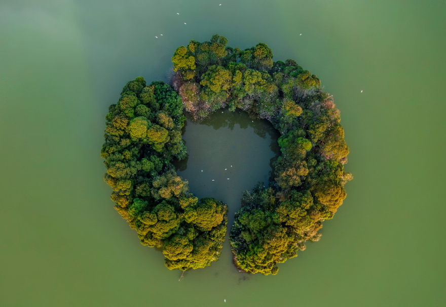 佛山三水云東海國家濕地公園坐落于珠三角腹地，總面積超過400公頃，是佛山市國家森林城市建設的重點工程，也是佛山市濕地體系中“三江匯流”保育區的濕地生態景觀核心和珠三角地區鳥類遷徙的重要節點。湖水瀲滟、植被茂盛，月亮湖湖心環形小島吸引了上千只鷺鳥在此集聚棲息。圖為佛山三水云東海國家濕地公園。