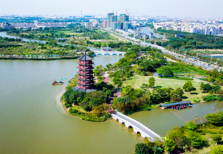 在東莞，華陽湖經過數年整治，完成了從“污染重災區”到“濕地公園”的美麗蛻變，東莞麻涌華陽湖國家濕地公園更是以優美的風光和環境成為了東莞旅游的一張亮麗名片，吸引了白鷺、夜游鶴、野鴨等一大批水鳥重歸這片棲息地。圖為東莞麻涌華陽湖國家濕地公園。