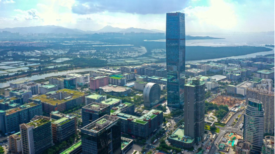 Shenzhen8
