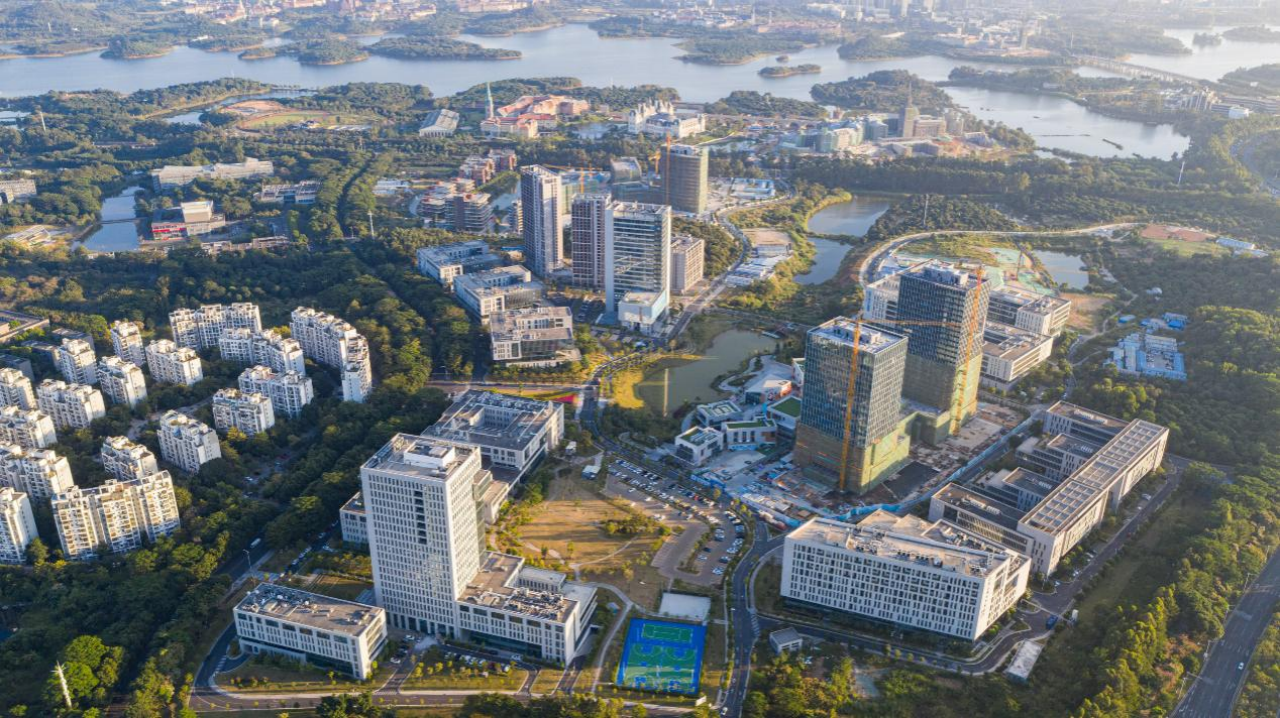 Dongguan3