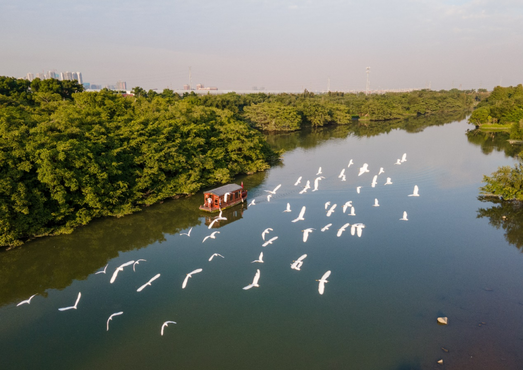 Jiangmen9