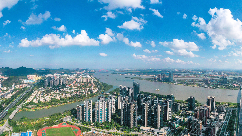 廣州市南沙開發區黨工委副書記謝偉：篤定目標謀發展 融合共建大灣區