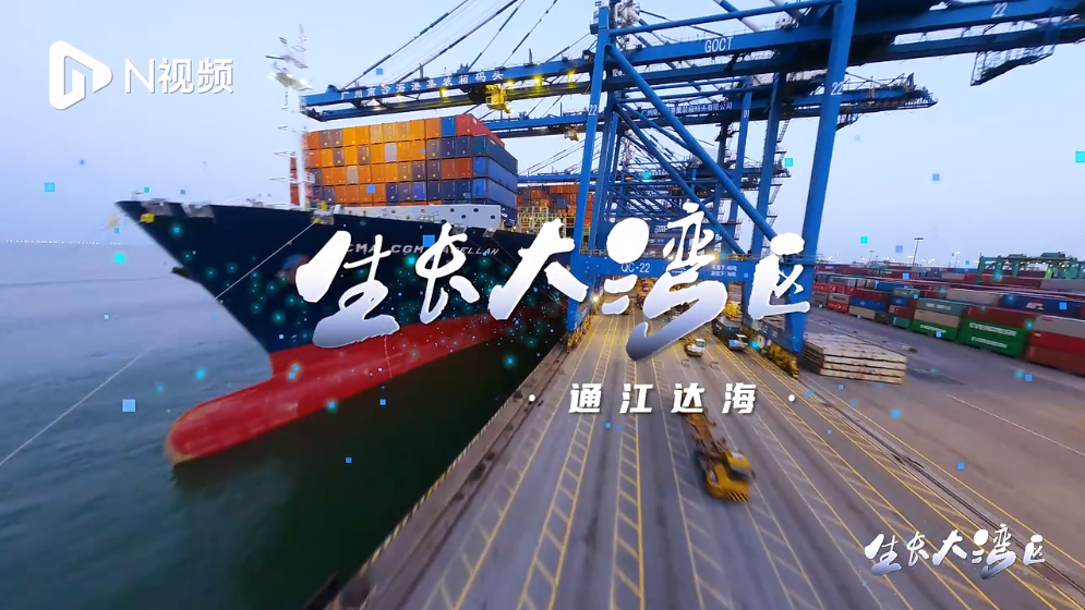 通江達(dá)海！在智慧碼頭南沙港看中國汽車外貿(mào)如何“生長”