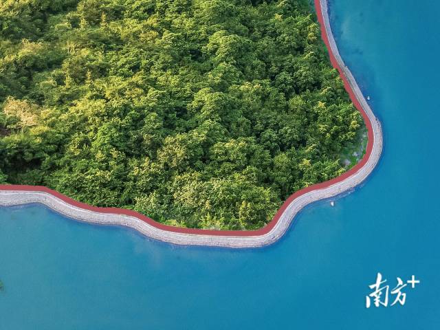 小桂綠道。大亞灣開發區供圖
