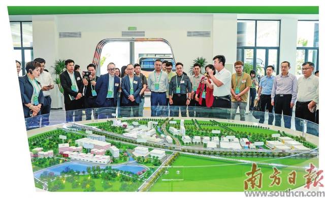 港商在大灣區(qū)農產品基地考察基地建設發(fā)展情況。受訪者供圖