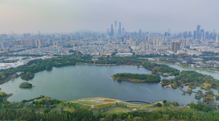 不可缺“濕”的生態之美！一起暢游大灣區濕地公園