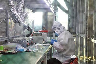 迪奇生物的基因檢測芯片生產人員 來源/省政府橫琴辦綜合處 迪奇生物的基因檢測芯片生產人員 來源/省政府橫琴辦綜合處