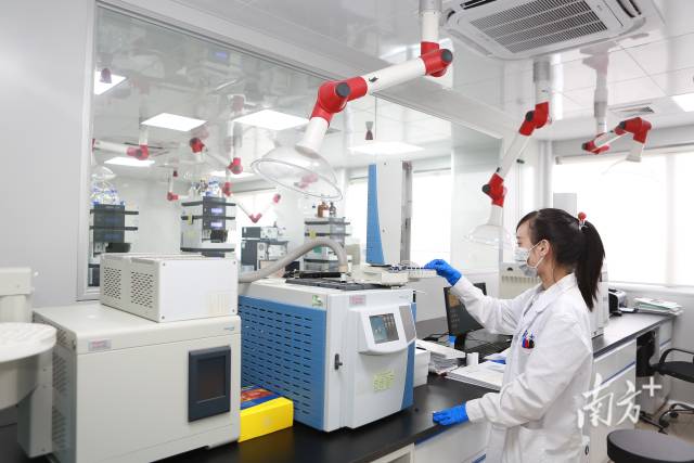 目前，廣東擁有藥品生產(chǎn)企業(yè)684家、醫(yī)療器械生產(chǎn)企業(yè)5052家，數(shù)量均居全國第一。圖為研發(fā)人員在實驗室中工作。張令 攝