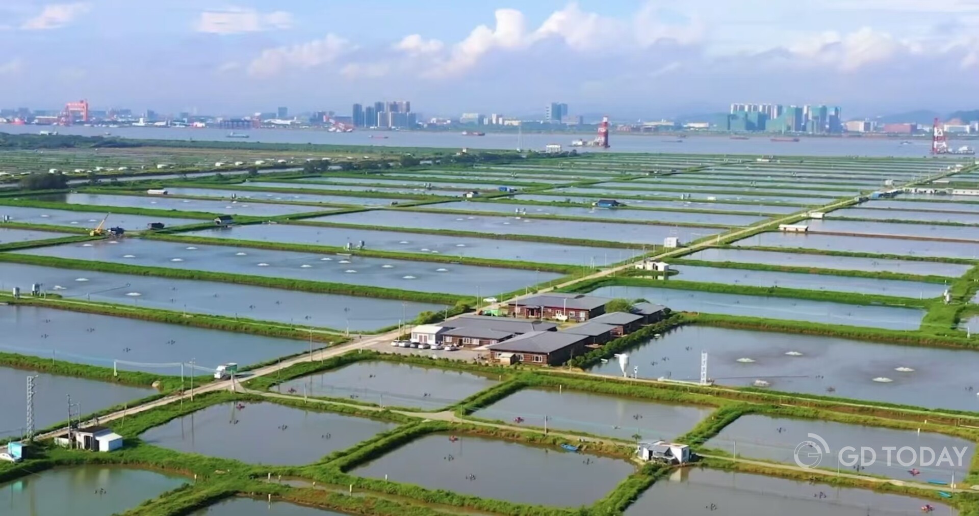 廣州市南沙區漁業產業園