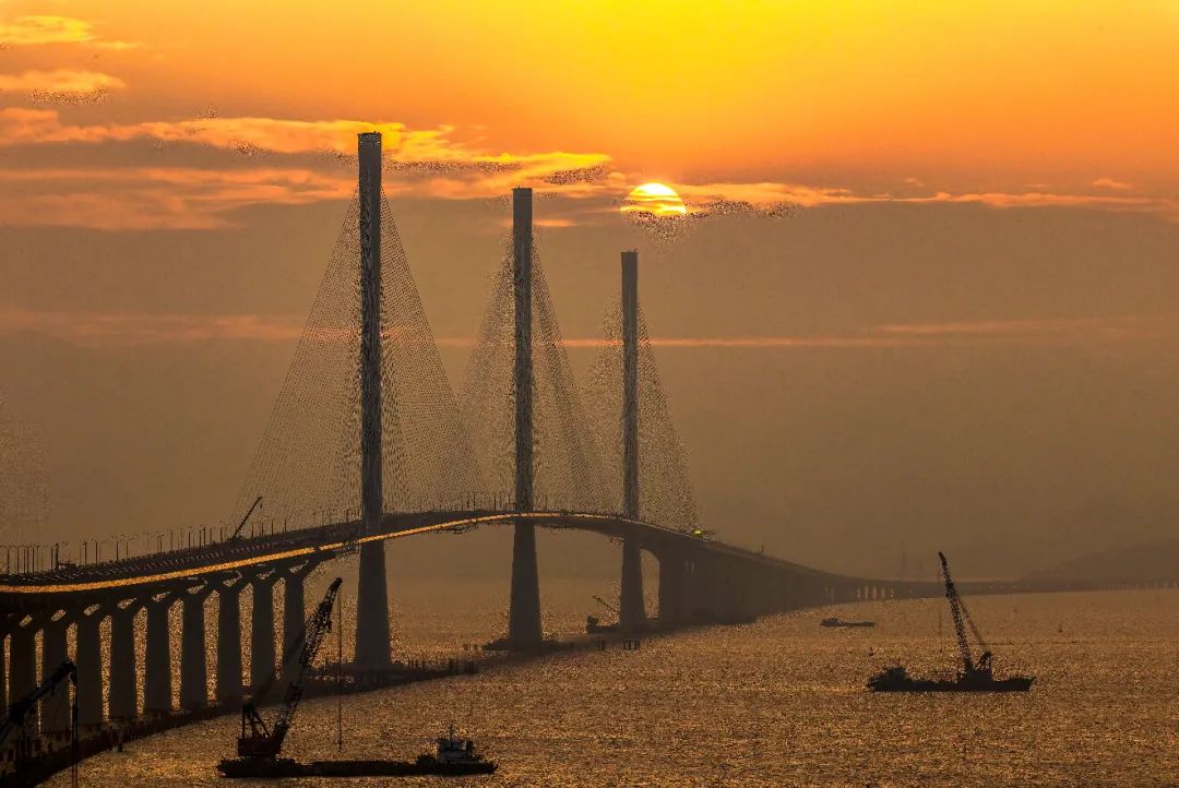 落日下的黃茅海大橋(馮珠仔 攝) 落日下的黃茅海大橋(馮珠仔 攝)