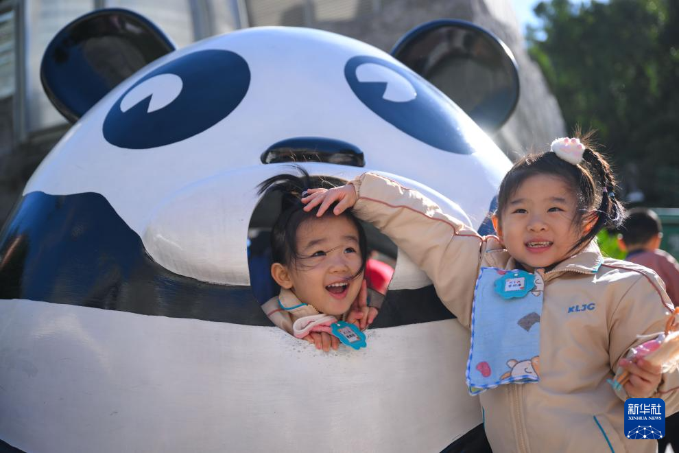 11月29日在澳門(mén)石排灣郊野公園大熊貓館外拍攝的澳門(mén)幼兒園小朋友。