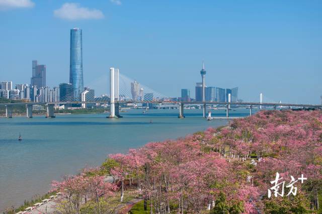 橫琴粵澳深度合作區 橫琴粵澳深度合作區