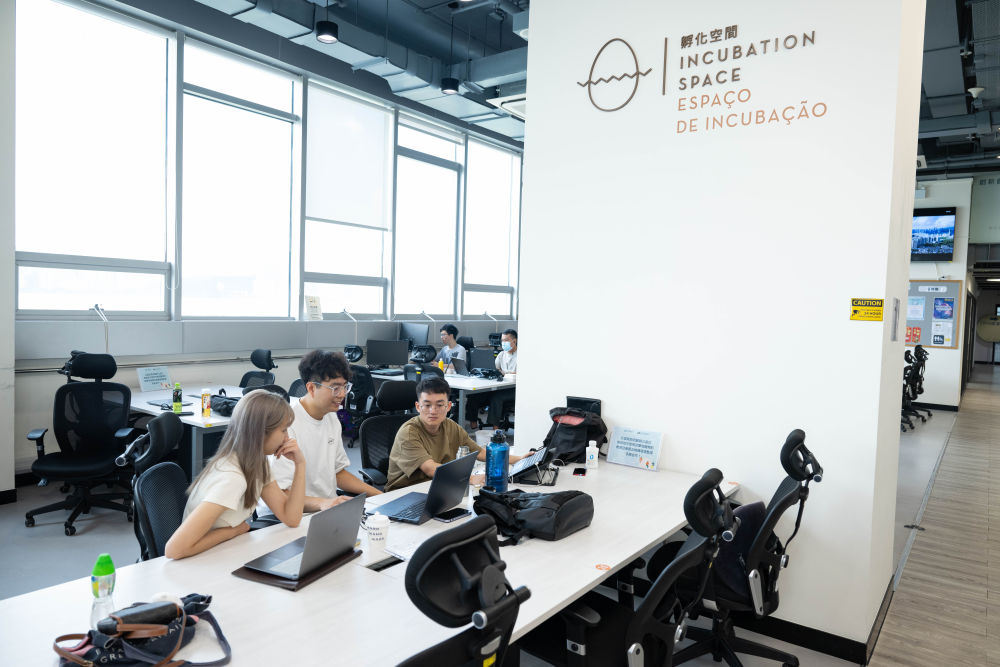 2024年6月17日,澳門青年在創業孵化中心工作。 2024年6月17日,澳門青年在創業孵化中心工作。