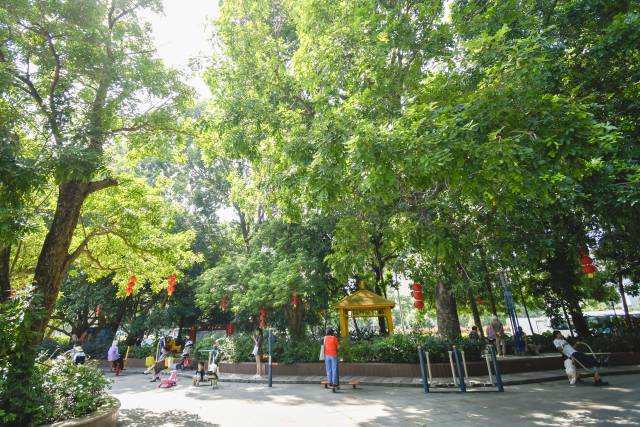 肇慶端州區(qū)人均公園面積位居全省前列。黃詠欣 攝 肇慶端州區(qū)人均公園面積位居全省前列。黃詠欣 攝