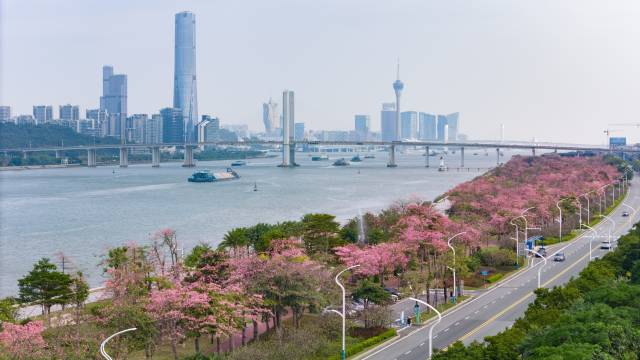 橫琴粵澳深度合作區(qū)