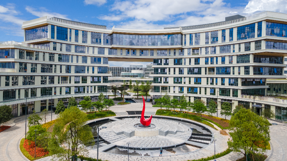 省人力資源和社會保障廳黨組書記、廳長杜敏琪：實施更積極開放有效人才政策支持南沙發展