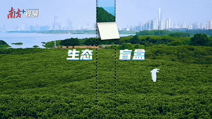 內伶仃島 內伶仃島