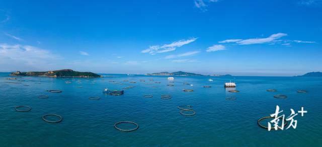 萬山群島海洋牧場。 萬山群島海洋牧場。