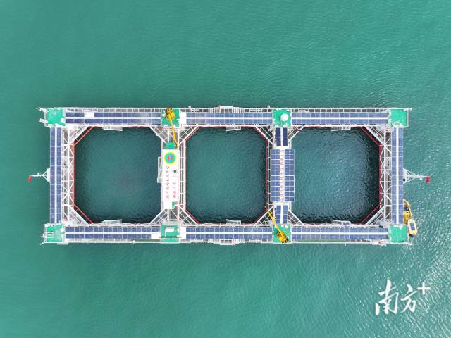空中俯瞰“格盛一號”海洋牧場。 空中俯瞰“格盛一號”海洋牧場。