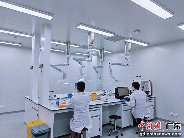  在“灣有引力”實驗室工作中的科研團隊。受訪者供圖