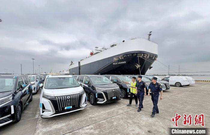 廣州海關所屬南沙海關關員對即將出口的國產汽車進行監管。廣州海關供圖 廣州海關所屬南沙海關關員對即將出口的國產汽車進行監管。廣州海關供圖