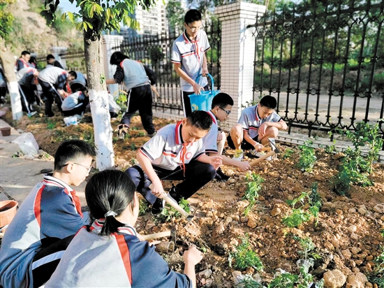 棠下初級中學學生在“百草園”種植中草藥。