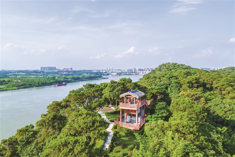 在三水江根村可飽覽“三江匯流”奇景。 在三水江根村可飽覽“三江匯流”奇景。