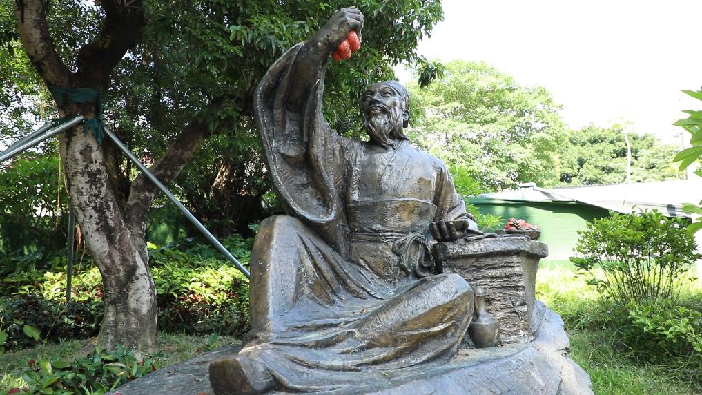 這是6月6日拍攝的惠州中山公園（惠州府城遺址公園）內的東坡雕像。新華社記者 李思佳 攝