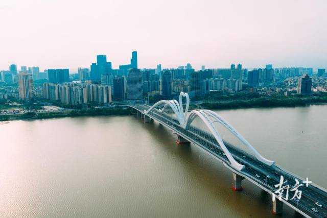 惠州鵝城大橋。