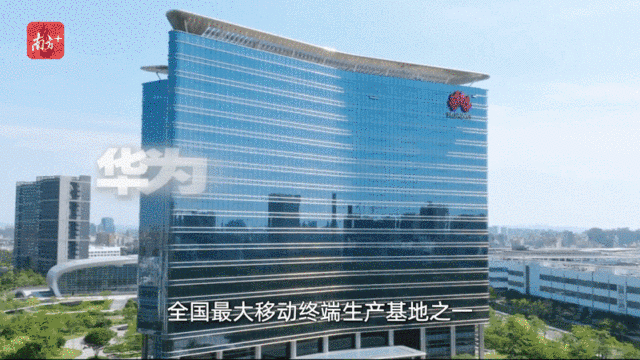    “創(chuàng)新全運(yùn)會(huì)”鳴哨，11城接力新質(zhì)火炬