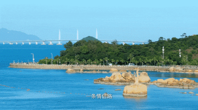 這是我的城！珠海最新城市形象片發(fā)布！