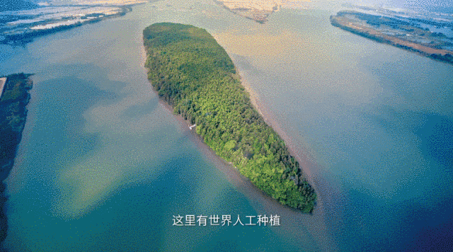 這是我的城！珠海最新城市形象片發(fā)布！