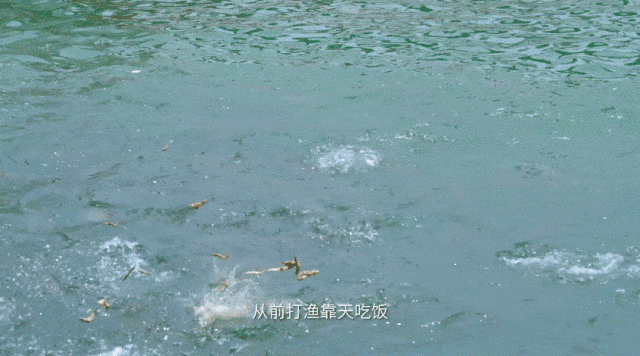 這是我的城！珠海最新城市形象片發(fā)布！