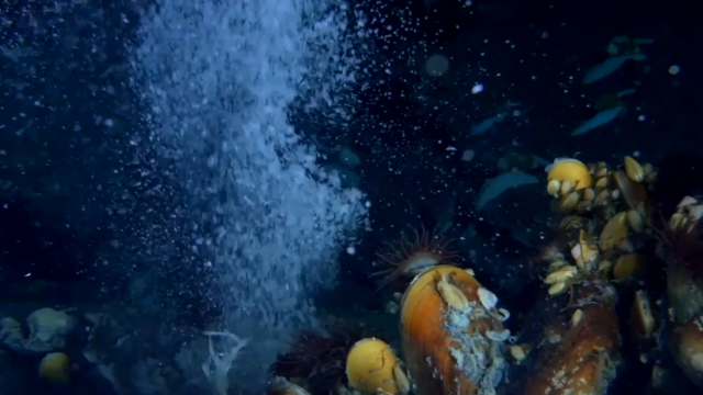 粵港澳大灣區(qū)是可燃冰開采的起源地。