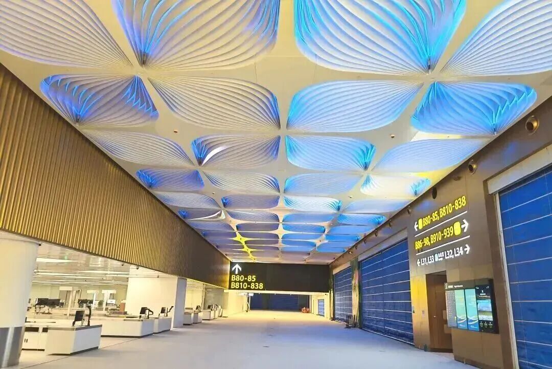 屋頂是綻放的花朵。 屋頂是綻放的花朵。