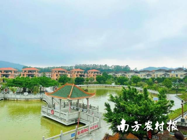 村集體經(jīng)濟(jì)收入的增長(zhǎng)，令江門(mén)奇榜村年終分紅超6000萬(wàn)元。