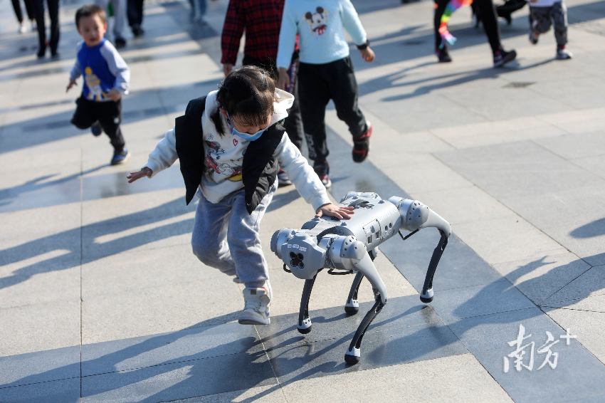 各種用途的機器狗 各種用途的機器狗