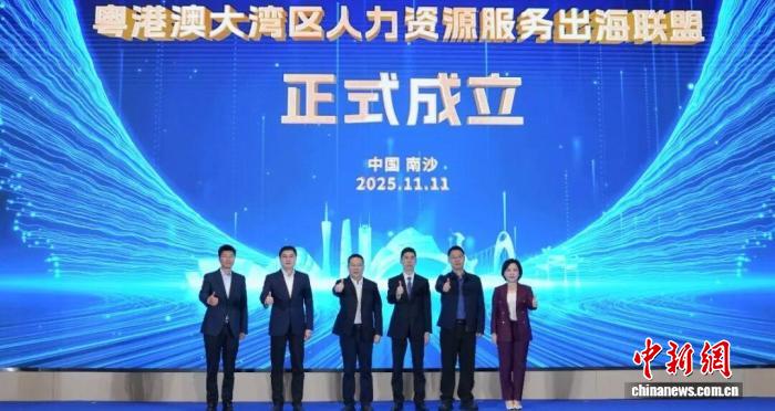 成立現場。南沙區(qū)政府 供圖