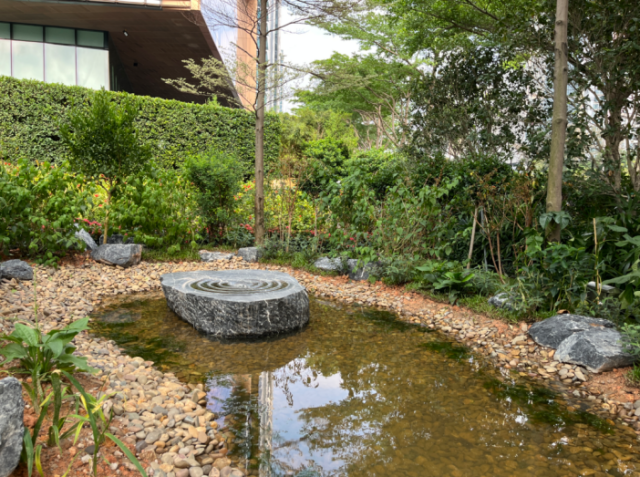 粵海氣候韌性社區(qū)改造后層次豐富的植物群落和涌泉、旱溪相連的可循環(huán)體系
