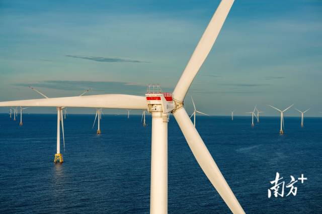 陽江海上風電。南方+記者 張令 攝