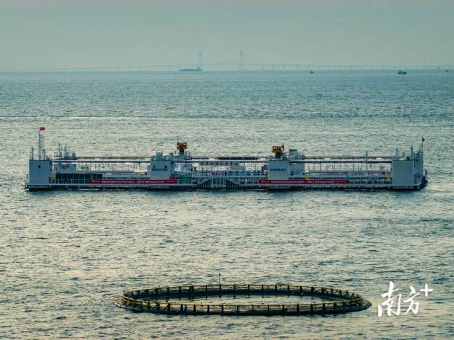 “格盛1號”以及遠處清晰可見的港珠澳大橋。資料圖片