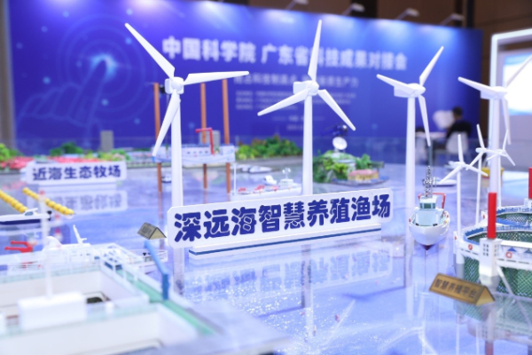 在2025年大灣區科學論壇上展示的具身智能產品 在2025年大灣區科學論壇上展示的具身智能產品