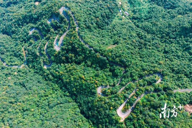 218最美旅游公路建成通車。 南方+ 梁維春 拍攝